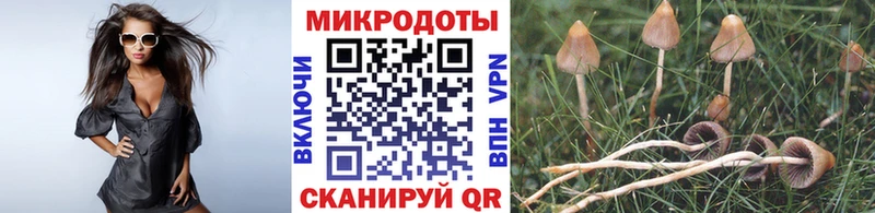 MEGA tor  Ессентуки  Псилоцибиновые грибы мухоморы  цена наркотик 
